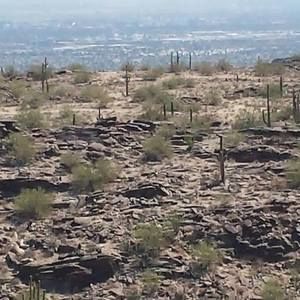 Meet your Posher, Brady